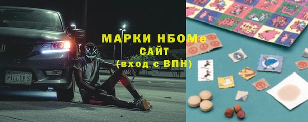 индика Надым