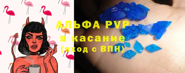 индика Надым
