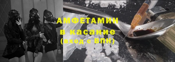 индика Надым