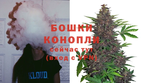 индика Надым
