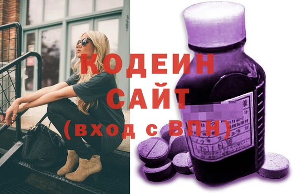 индика Надым
