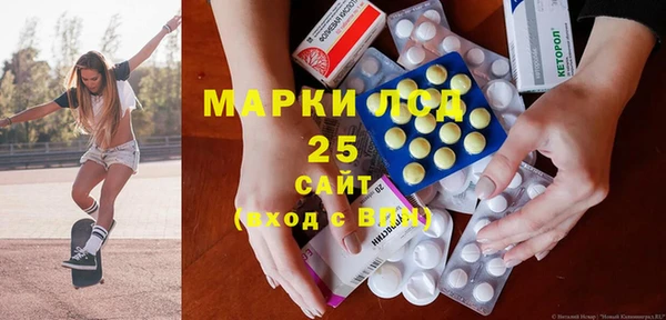 индика Надым