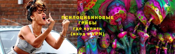 индика Надым