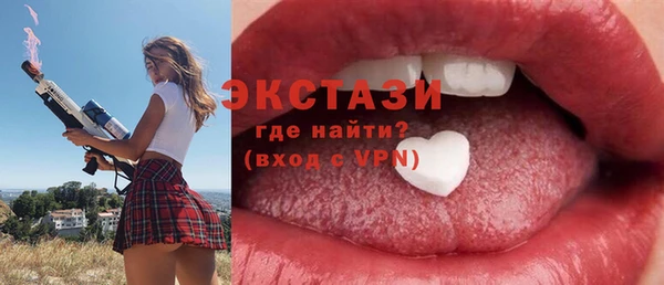индика Надым